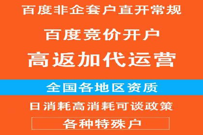 谷歌竞价广告与SEO结合的营销案例解析